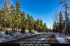 Lot 1389 El Camino Real